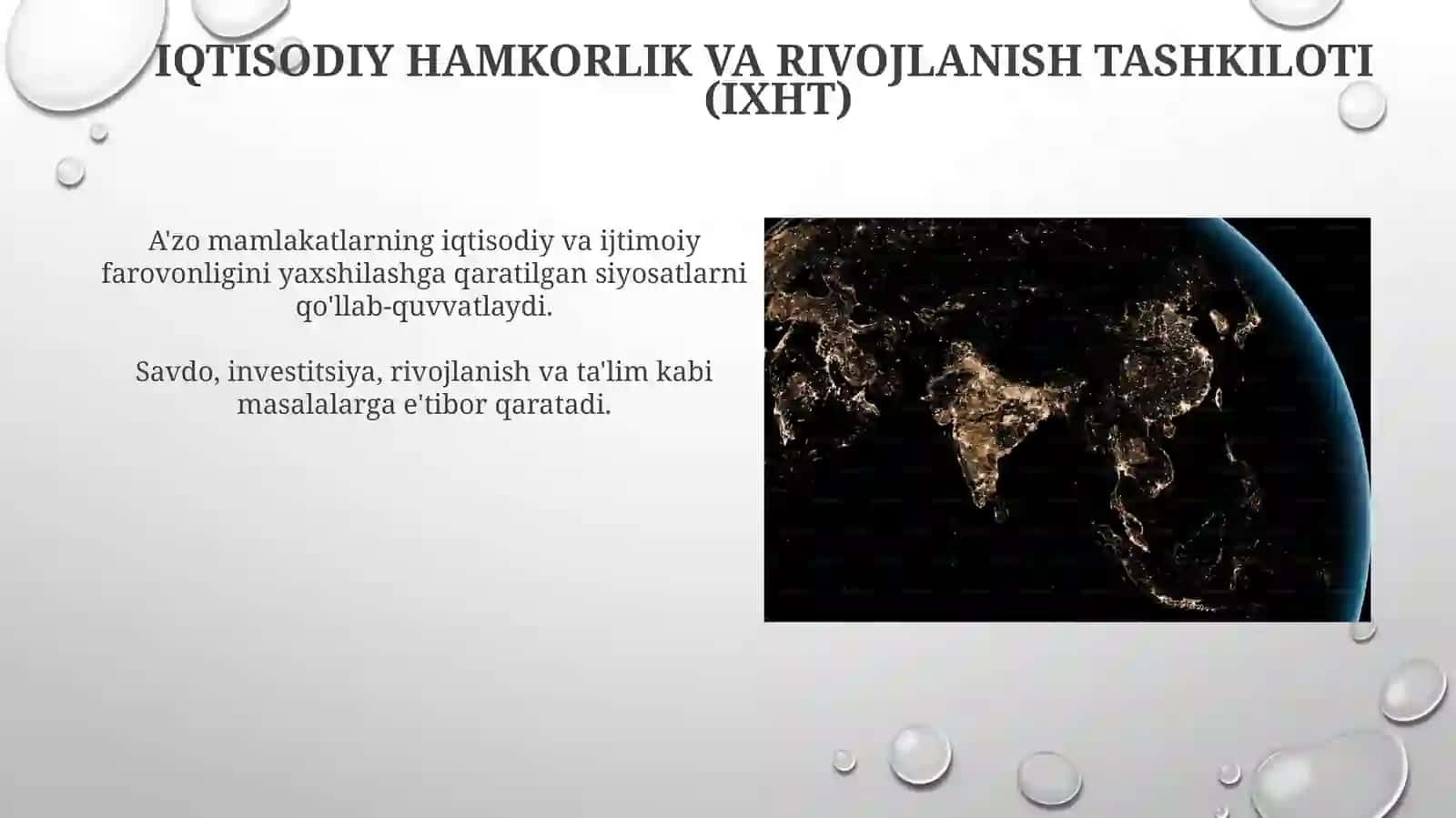 Jahoning yirik iqtisodiy tashkilotlari va ularning roli 4