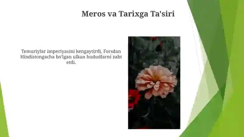 Amir Temurning harbiy yurishlari 4