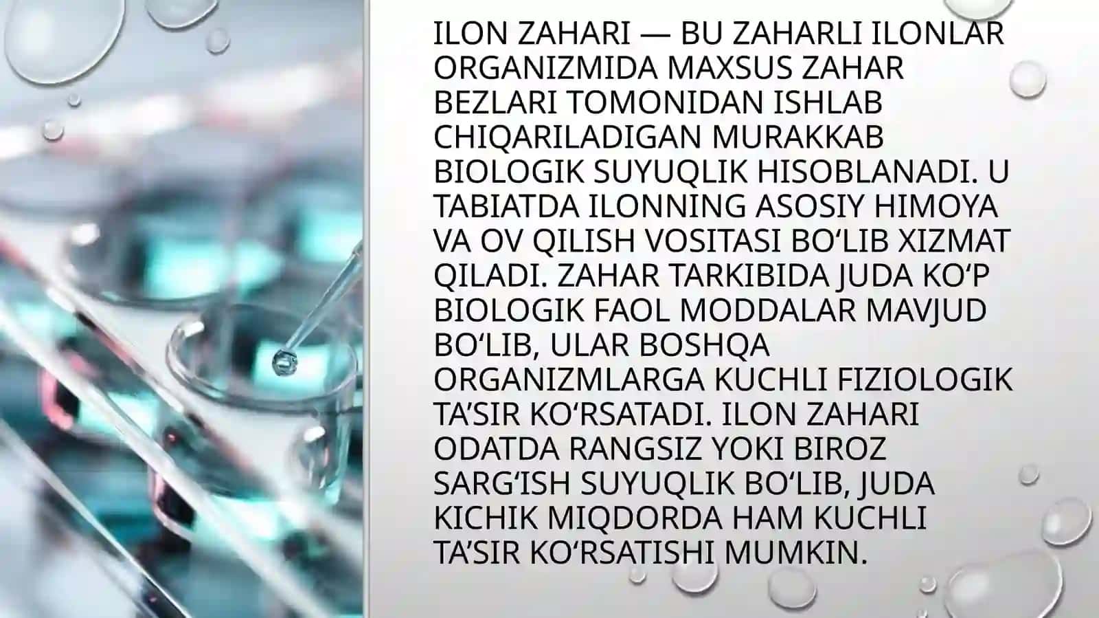 Ilon zaharining tarkibidagi biologik faol moddalar 4