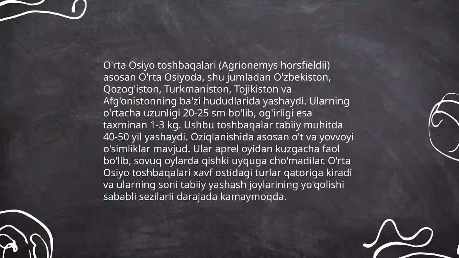 O'rta Osiyo gerpetofaunasining o’ziga xos vakillari 4