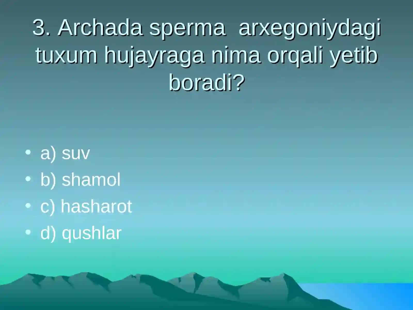 Archa va qarag'ay 4