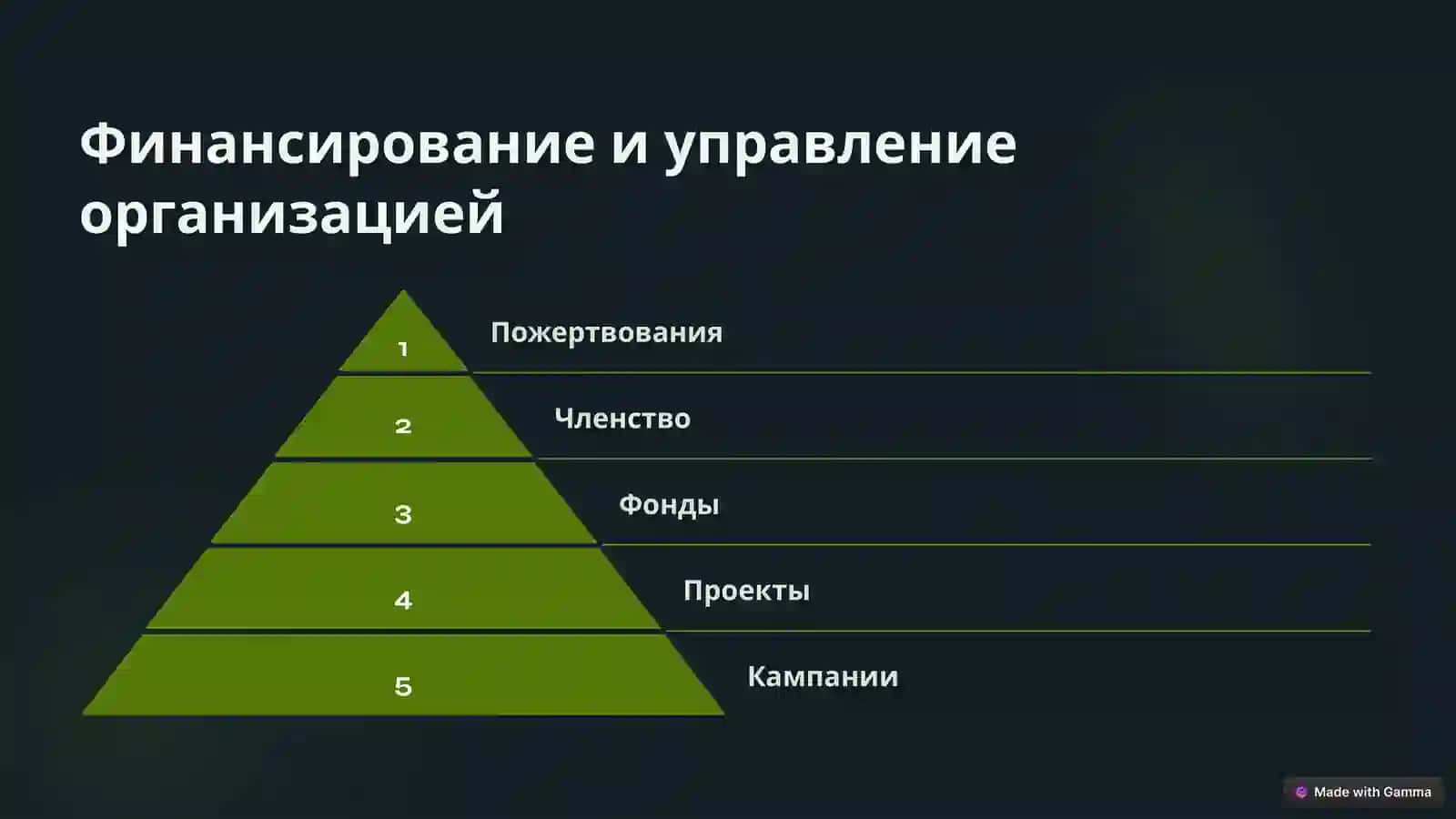 Greenpeace: Охрана окружающей среды и устойчивое будущее 4