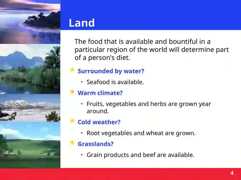 International Foods 4