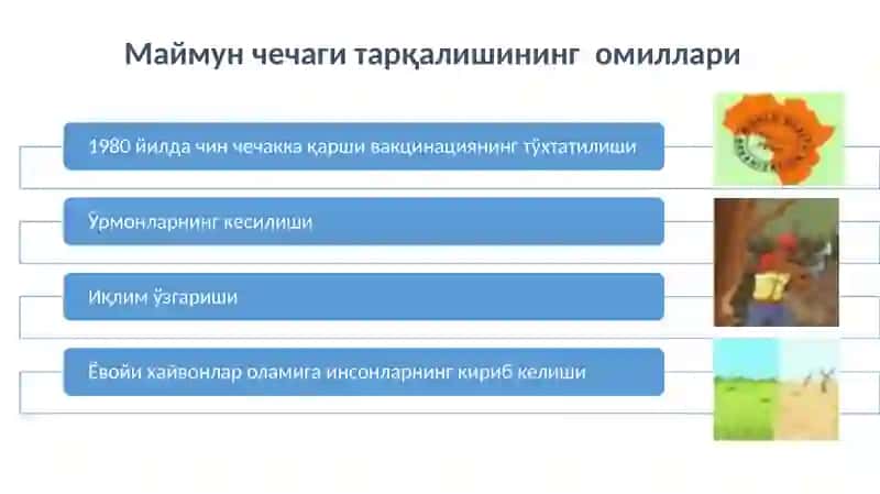 Maymun chechagi etiologiyasi, epidemiologiyasi, klinikasi, tashxisoti, davolash va profilaktikasi | Маймун чечаги этиологияси, эпидемиологияси, клиникаси, ташхисоти, даволаш ва профилактикаси. 4