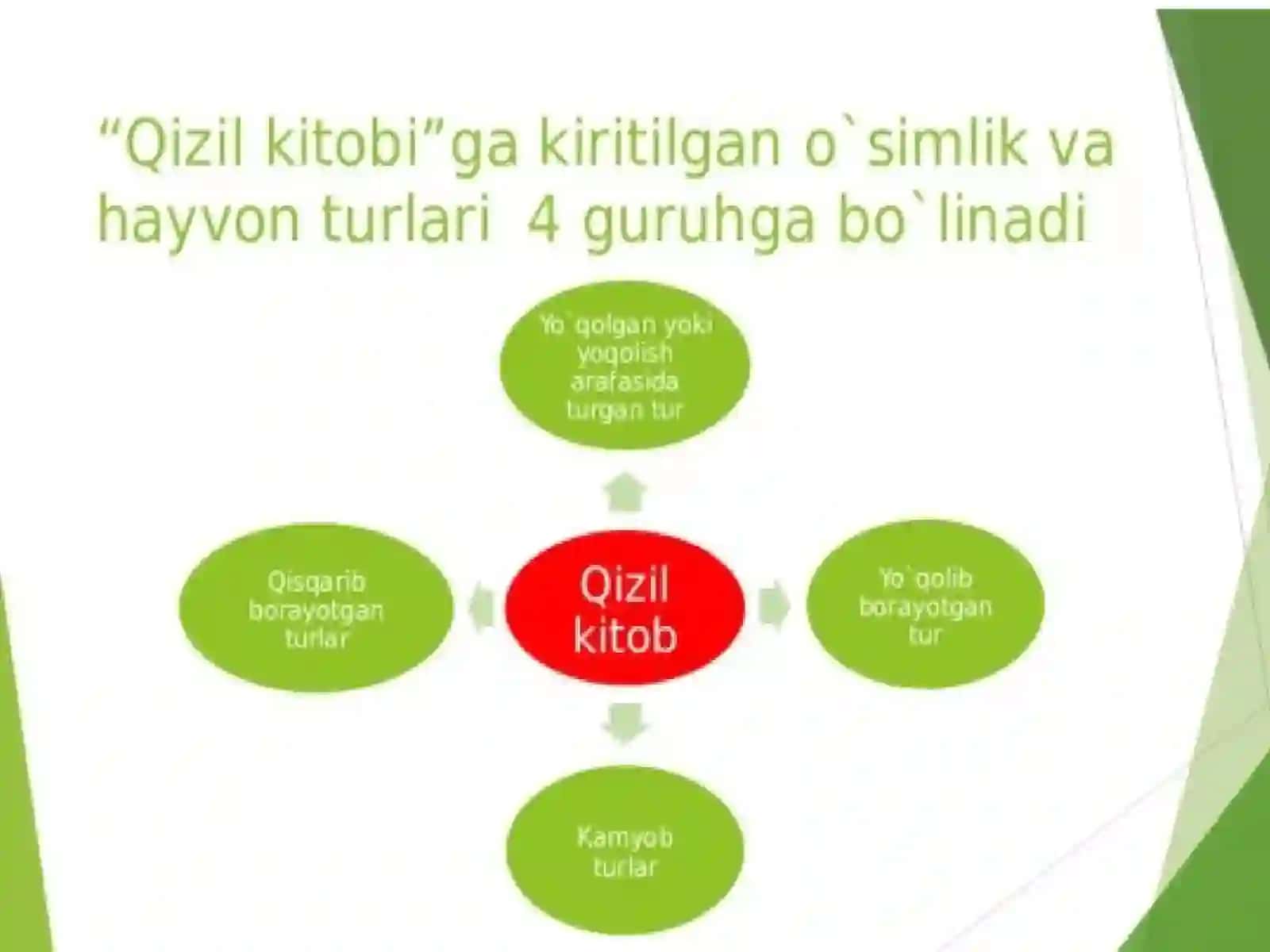 Qizil kitob 4