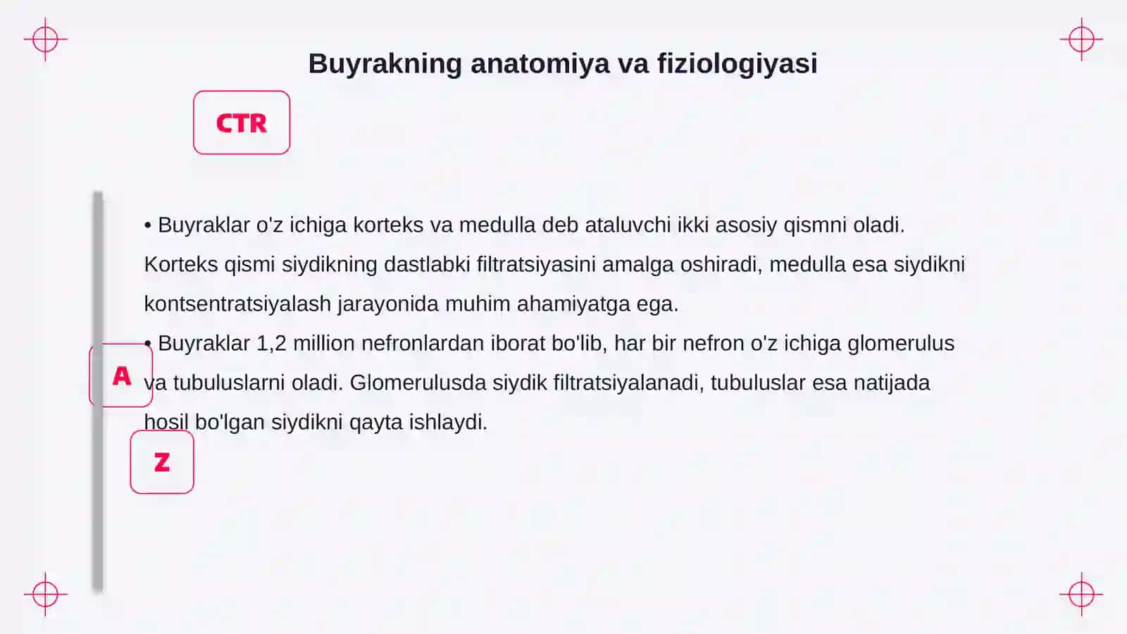 Ayirish organlarining tuzilishi. Buyrakning tuzilishi 4