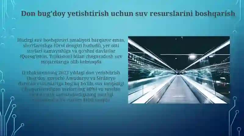 O'zbekistonda donli ekinlar yetishtirishning hozigri holati va uning rivojlanish istiqbollari 4