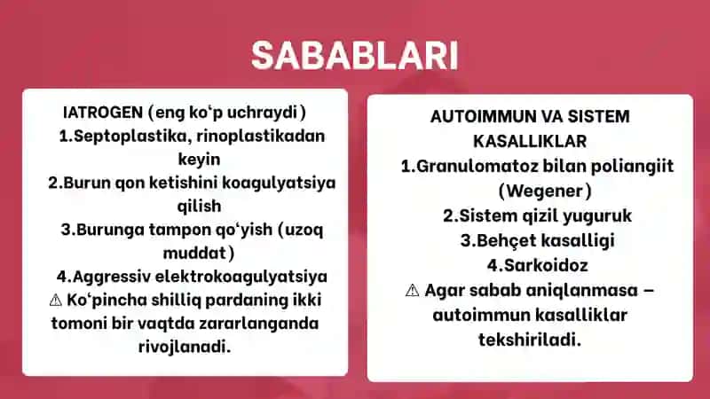 Burun TO'SiG'I Perforatsiyasi Sabablari va Davolash 4