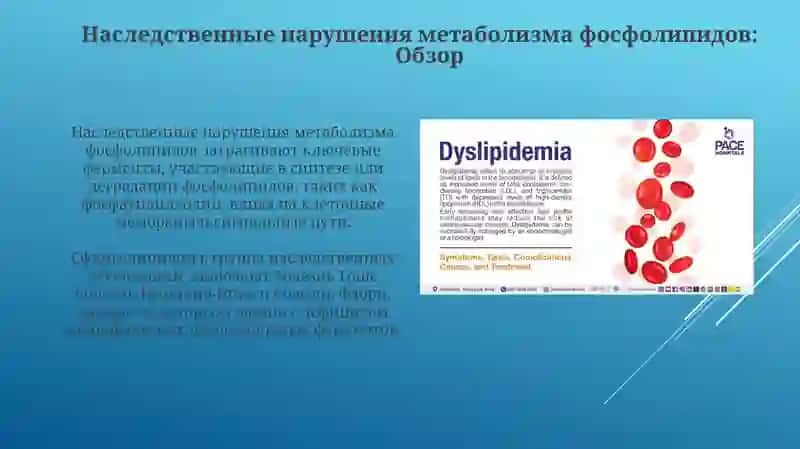 Лечебное дело-2 4