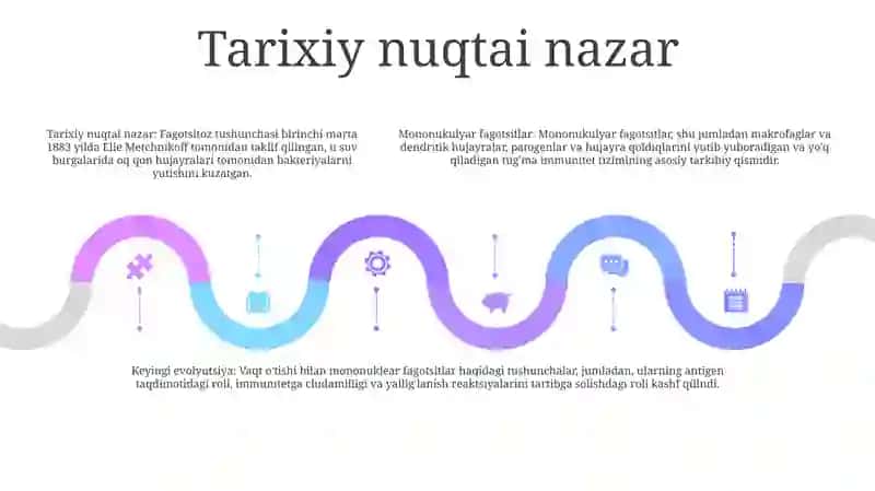 Mononuklear Fagotsitar Tizim 4