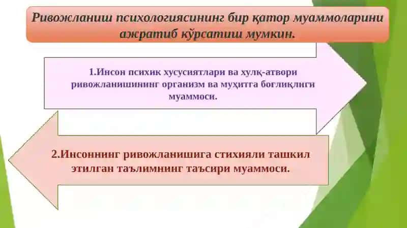 Ривожланиш ва педагогик психология фанининг тадқиқот соҳаси ва методлари 4
