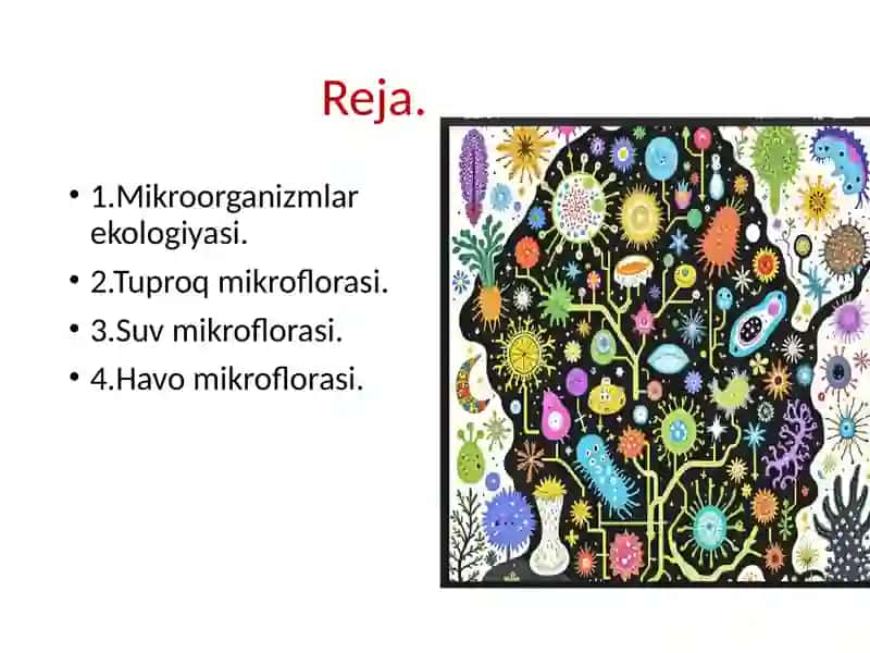 Mikroorganizmlar ekologiyasi ( Suv, tuproq mikroflorasi) 4