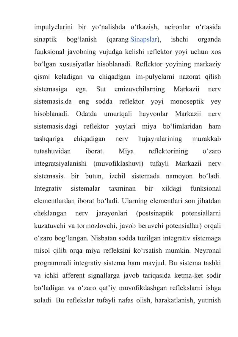 UMURTQALILAR MARKAZIY ASAB TIZIMINING TUZILISHI VA VAZIFASI. 4