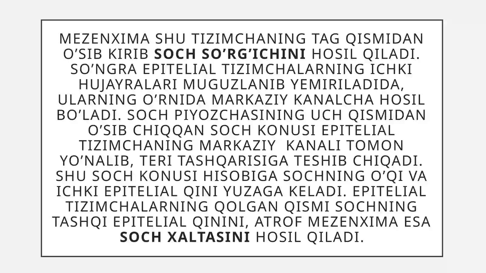 Soch follikulasining sikli va uning klinik ahamiyati 4