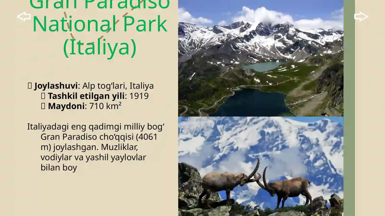 Yevropa Milliy bog’lari 4
