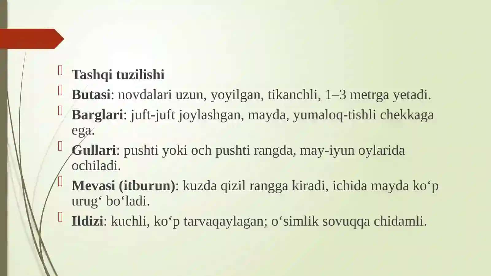Itburunnamata ko`simligining urg`chiligi 4