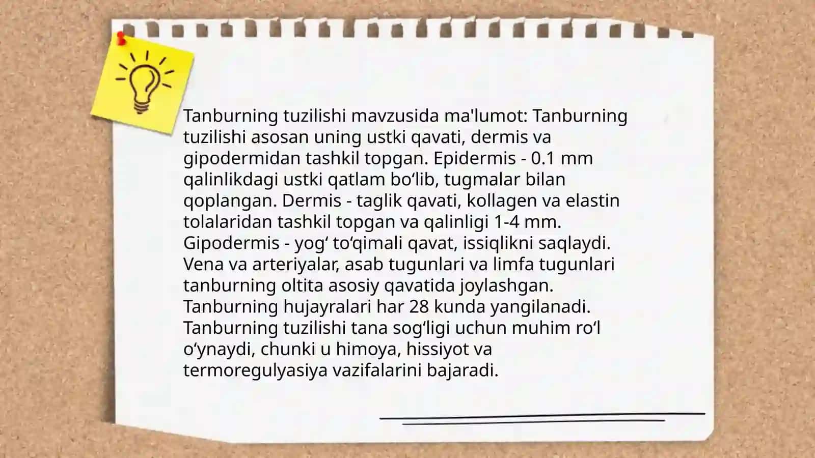Musiqa Òqitish metodikasi fanidan òzbek milliy musiqa cholĝu asbobi Tanbur yuzasidan tayyorlagan taqdimoti 4