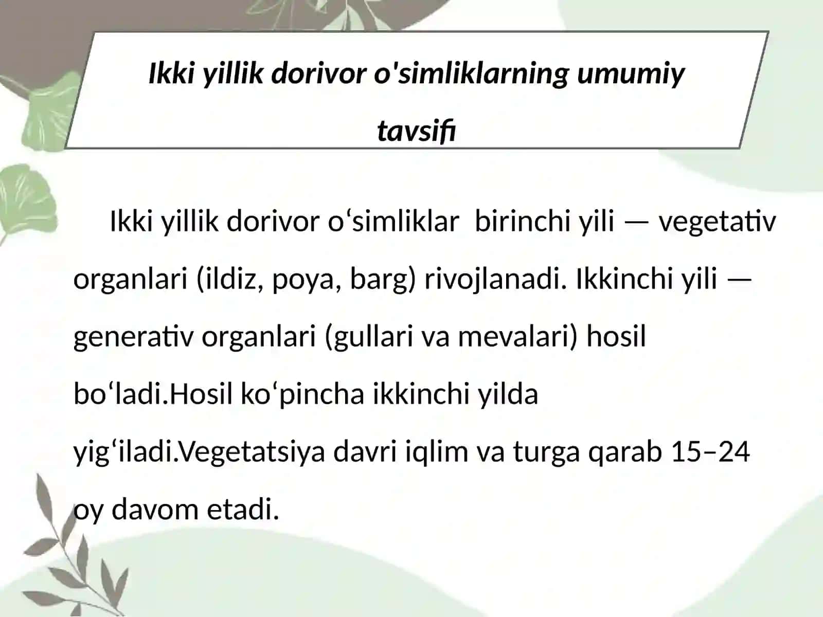 Ikki yillik dorivor o'simliklarni yetishtirish texnologiyasi 4