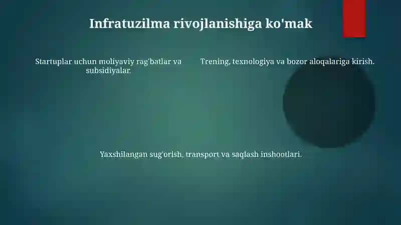 Qishloq xõjaligida tadbirkorlikni davlat tomonidan qõllab quvvatlash chora tadbirlari 4
