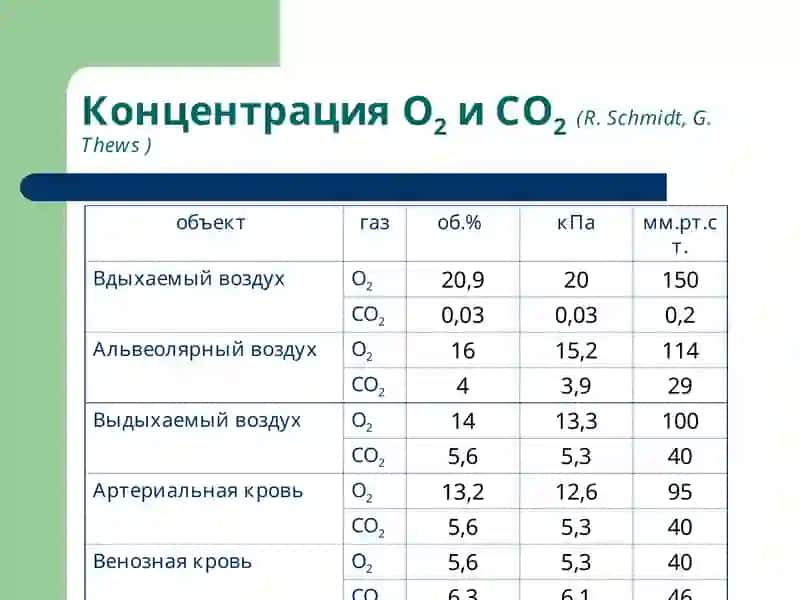 Лекция 16 Патофизиология системы внешнего дыхания. Гипоксии 4