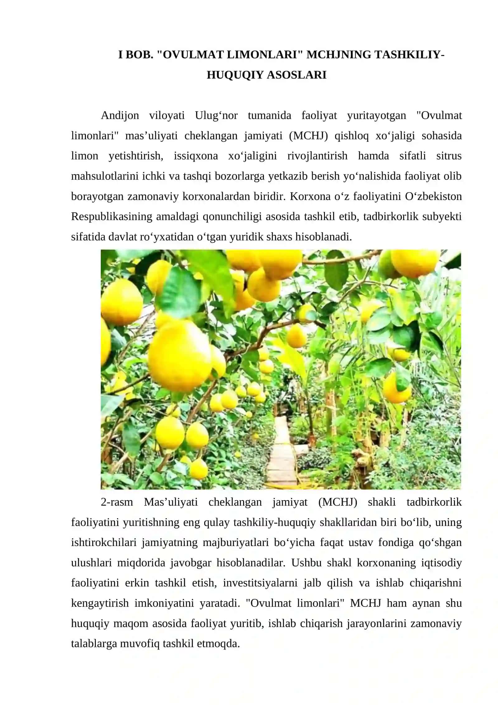 ANDIJON VILOYATI ULUGNOR TUMANI OVULMAT LIMONLARI 4
