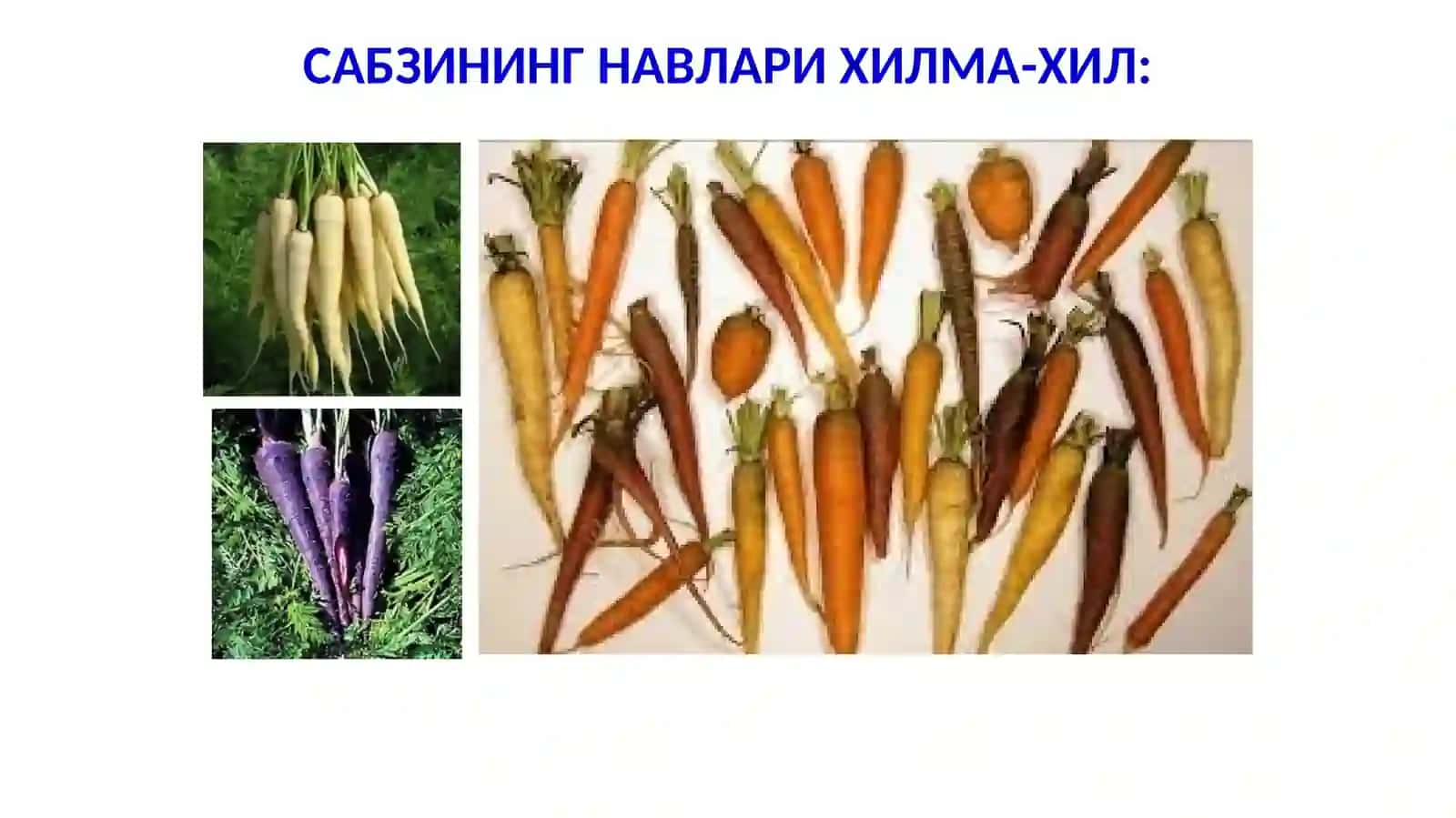 Сабзавот экинлари касалликлари хам қарши кураш чоралари 4