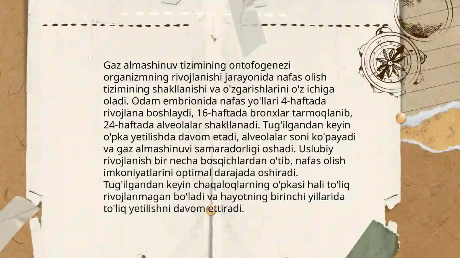 Azolar sistemasi ontofligenezi 4