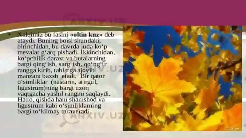 Kuz faslida o‘simliklar hayotida ro‘y beradigan o‘zgarishlar 4