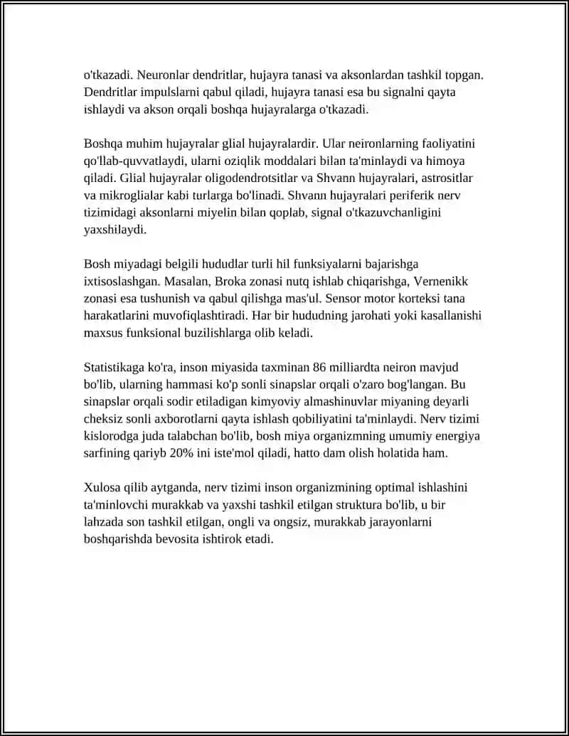 Nerv tizimi 4