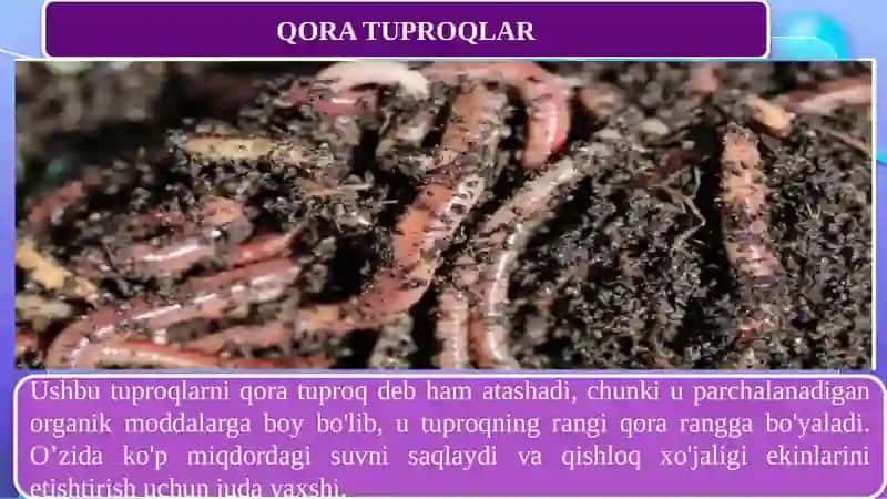 Tuproq frezasi texnologik jarayonini o‘rganish 4