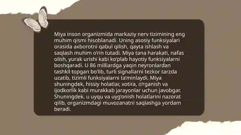 Oliy nerv faoliyati tiplari 4