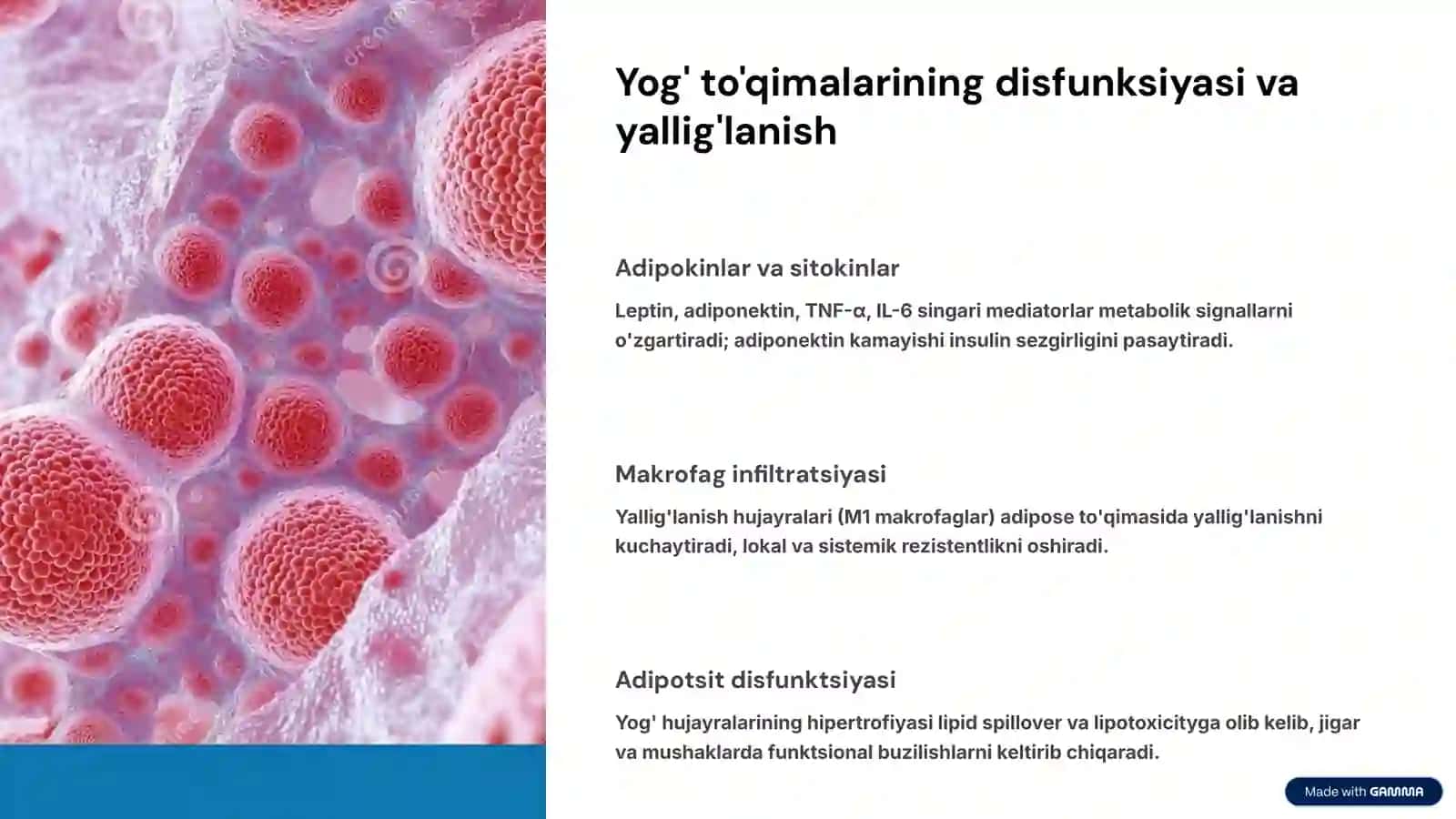 Metabolik sindrom: kelib chiqishi, biokimyoviy asoslari va asoratlari 4