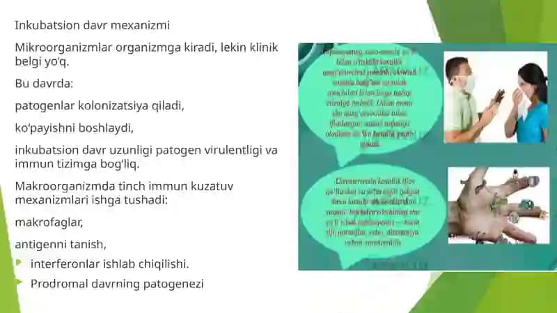 Umumiy infeksion jarayon haqida tushuncha 4