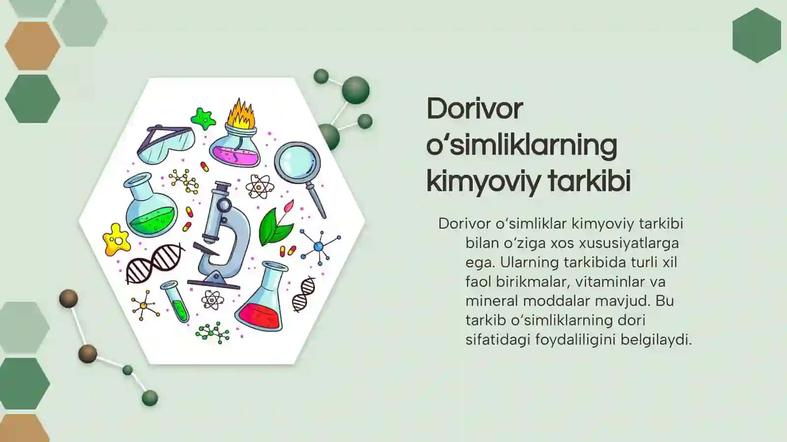 Dorivor o'simliklarni invitro usulida ko'paytirish 4