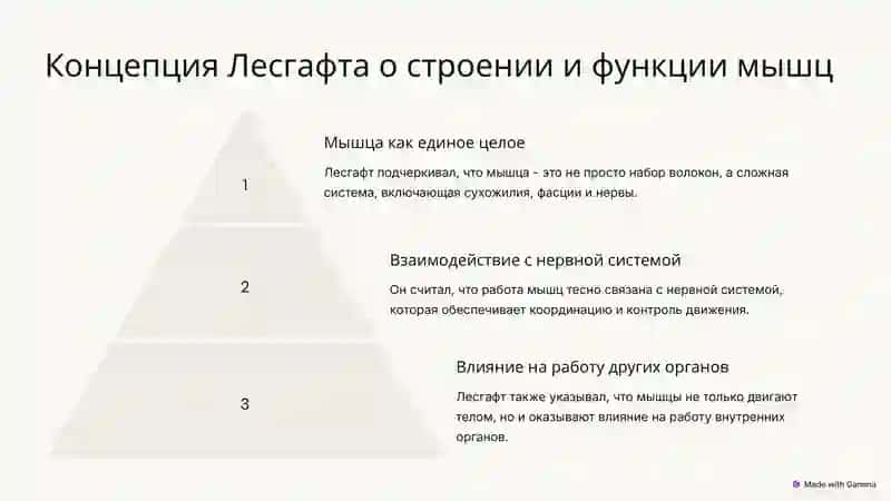 Иш ва касалларнинг биомеханикаси: Лесгафт таълими 4