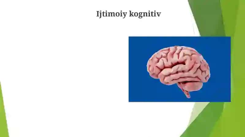 Shaxsning individual va tipologik xususiyatlari 4