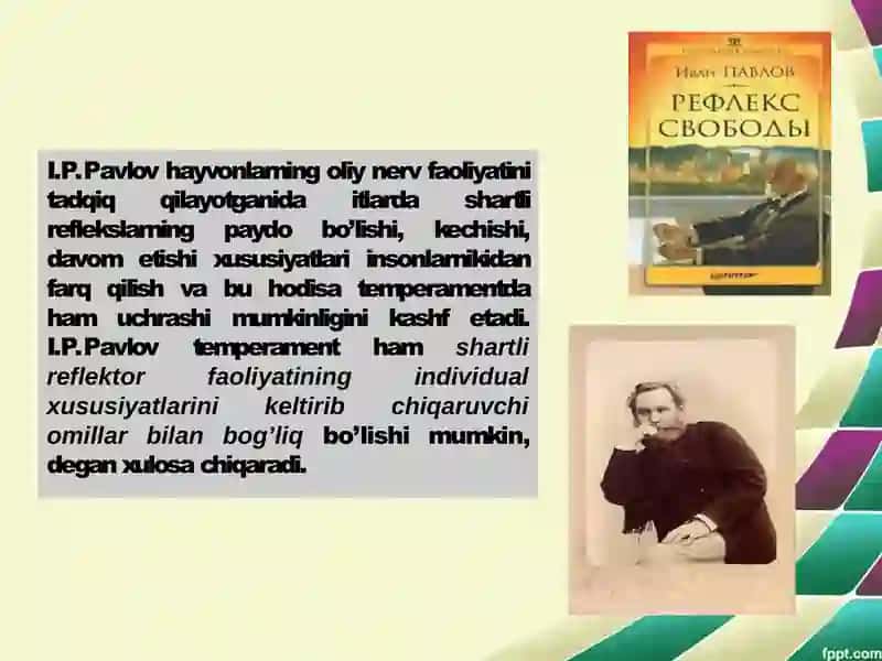 “Fikrlovchi shaxs” tiplari haqida tasavvurlar (I.P.Pavlov bo’yicha) 4