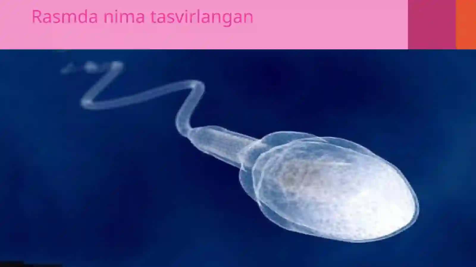 Biologiya fanidan Organik olamdagi moslanishlar - evolutsiya natijasi mavzusida ochiq dars ishlanma 4
