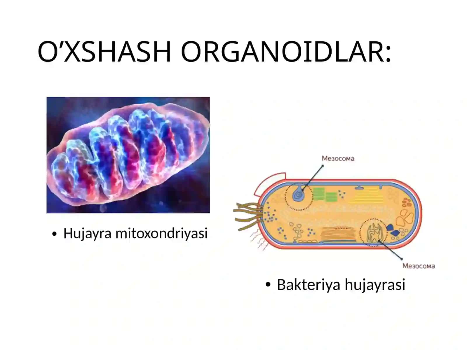 Toshkent-2022 4