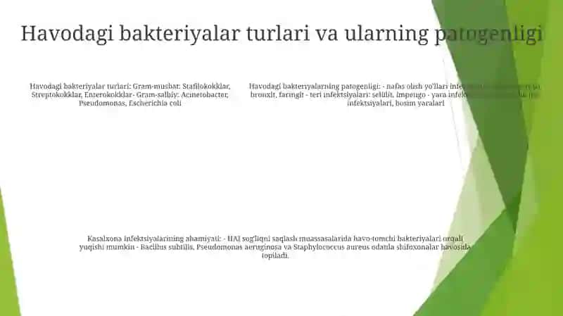 Kasalxona Ichki Infeksiyalarini Kelib Chiqishi Uchun Havo Muhitining Bakteriologik Ifloslanganligining Ahamiyati 4