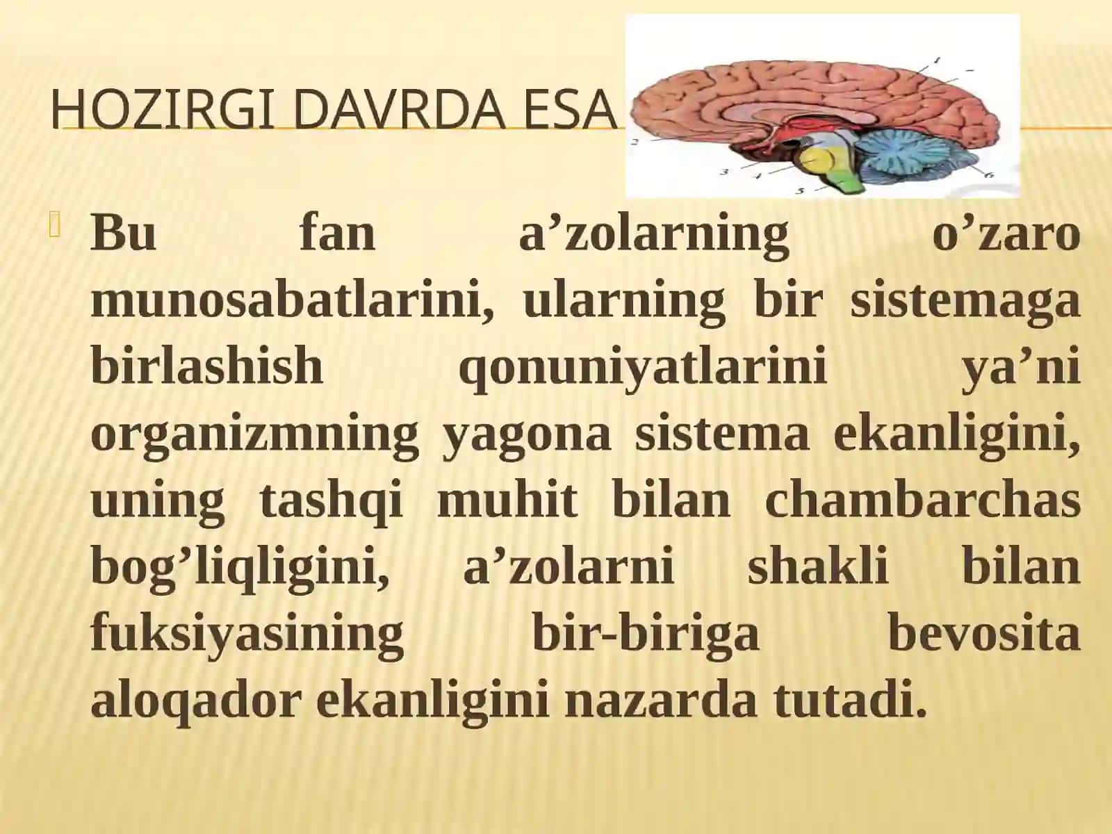 ODAMANATOMIYASI FANINING MAQSADI VAVAZIFALARI 4