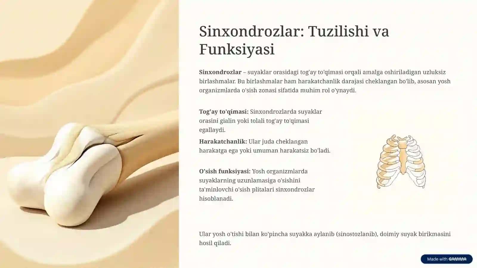 Sidesmoz, Sinxondroz, Sinostoz Birlashmalari: Umumiy Tushuncha 4