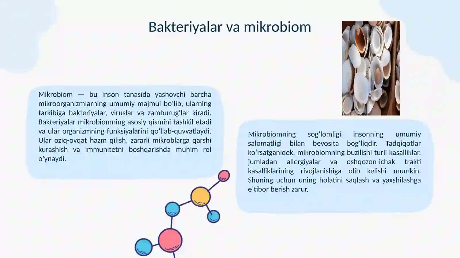 FOYDALI BAKTERIYALARNING HAYOTIMIZDAGI OʻRNI 4