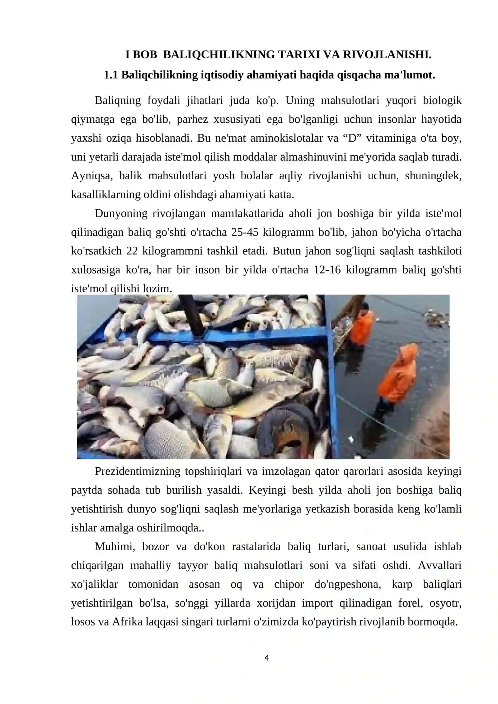 Baliqchilikning iqtisodiy ahamiyati 4