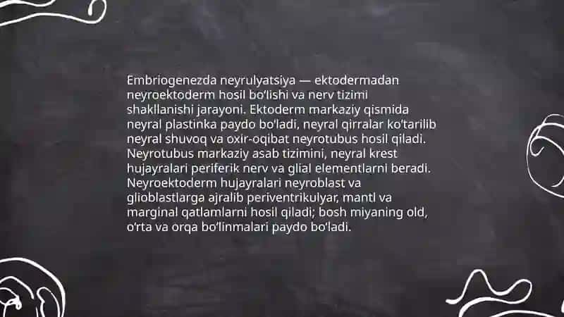 Asab tizimi va sezgi organlarining ontofilogenezi. Sezgi organlarining ontofilogenezi 4