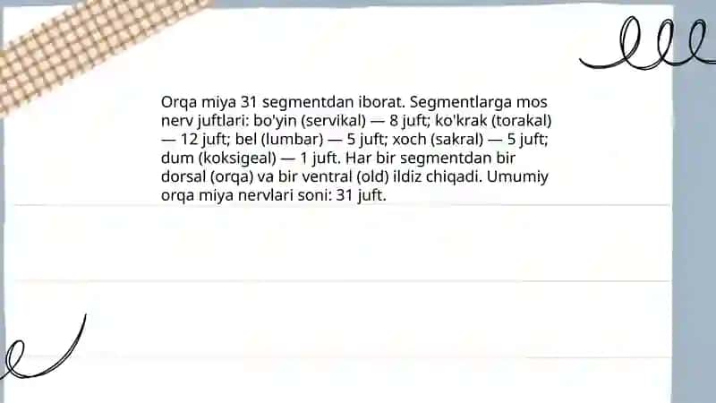 Orqa miya nervlari, ularning oʻrni 4