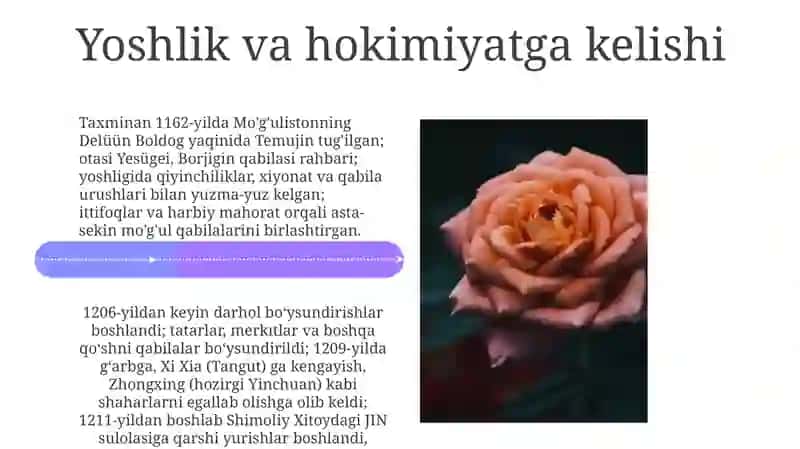 chingizxonbosqinchiliqyurishlaringboshlanishi 4