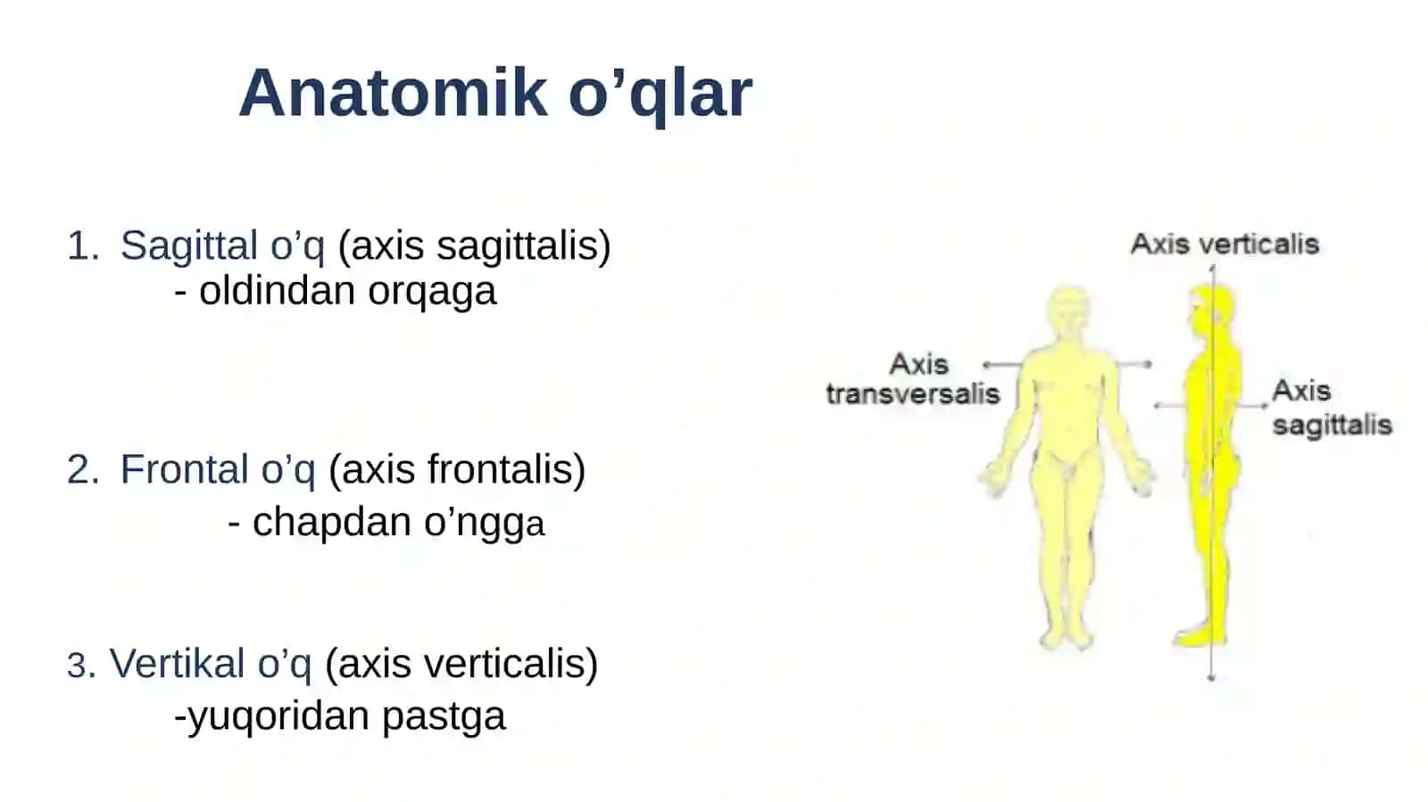 Anatomik sathlar,o’qlar. Umumiy osteologiya. Umurtqalar anatomiyasi. 4