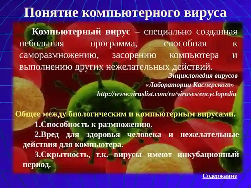 Компьютерные вирусы и антивирусные программы 4
