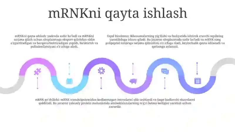 Oqsil Biosintezi 4